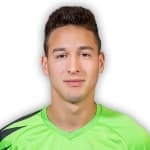 Jovan Mitrović