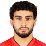 H. Minasyan