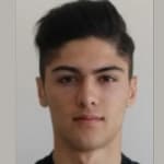 E. Demir