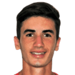 F. Doğan