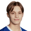 H. Karlsson