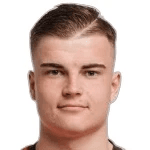 D. Lesnyak
