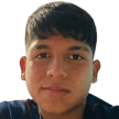 D. Pereira