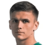 M. Plotnikov