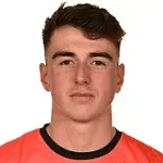 L. Healy
