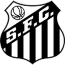 Santos badge