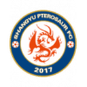 Shangyu Pterosaur badge