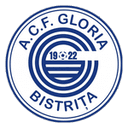 Gloria Bistriţa badge