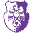 Arges Pitesti badge
