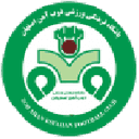 ZOB Ahan badge