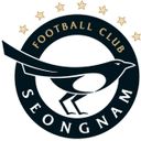 Seongnam FC badge