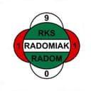 Radomiak Radom badge
