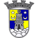 Sintrense badge