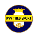 Thes Sport badge
