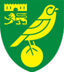 Norwich badge